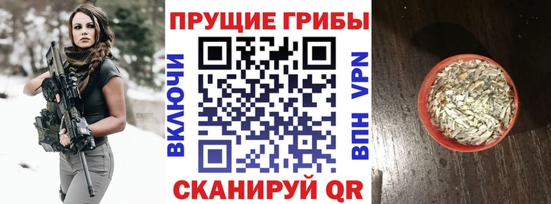 blacksprut онион Слободской Псилоцибиновые грибы Psilocybine cubensis где можно купить